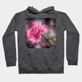 Pink Ranunculus Flower Hoodie